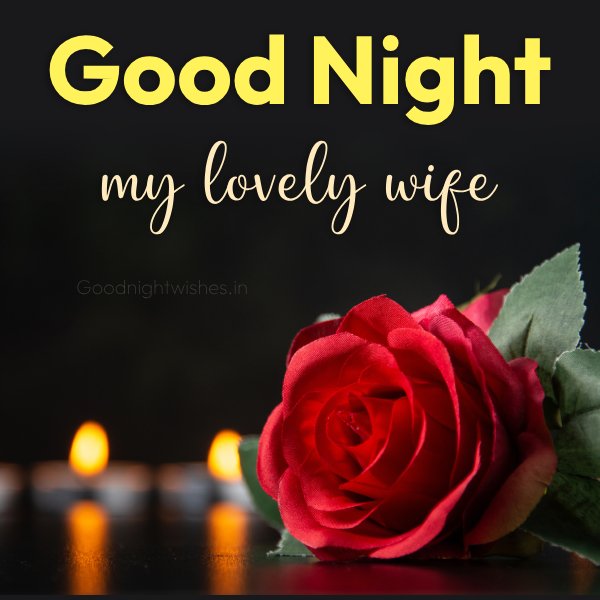 Good Night My Lovely Wife With Red Rose Wonderful Picture